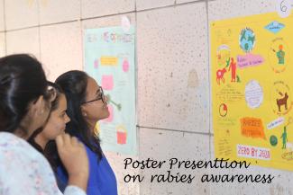 Poster Presentation On Rabies.