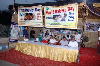Anti-Rabies camp arrangement