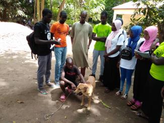 members of the association preparing for the vaccination, during the world rabies day.