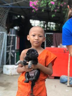 A young boy holding a puppy in Phnom Penh