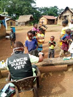 Vaccinating against rabies