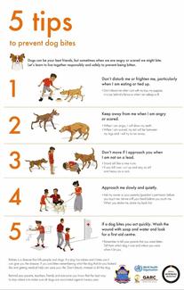 Dog Bite Prevention Poster