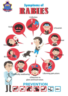 Rabies Sign & Symptoms Poster