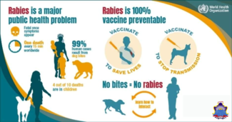 Rabies Vaccination Awareness Poster