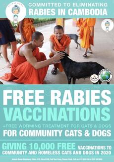 Working with local monks throughout the year to tackle Rabies in Cambodia
