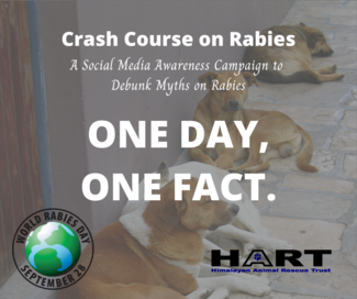 Crash Course on Rabies