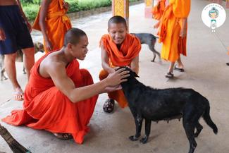 Working with local monks in Pailin 