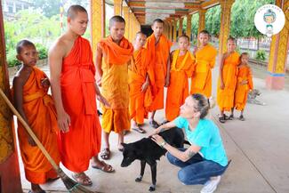 Pailin monks learning how to give more care to their pagoda animals 