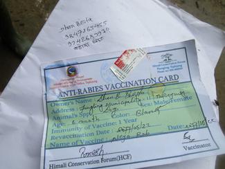 Our vaccination card.