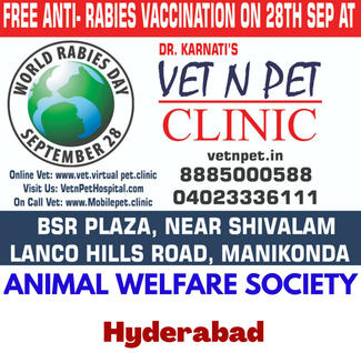 Free Anti Rabies vaccination program by AWS