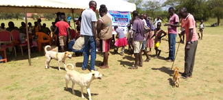 Konyao community during world rabies day awareness and vaccination exercise