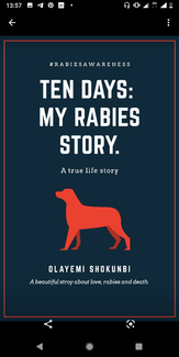 It's a Rabies awareness ebook story of a first hand caregiver to a rabid patient 