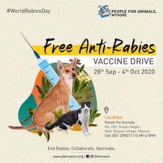 Free Anti Rabies Vaccination Drive Global Alliance For Rabies Control