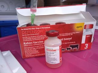 Rabies Vaccine sponsored by State Veterinary Services 