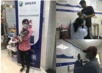 Citizens from Nanjing city are taking their pets to receive free rabies vaccine.