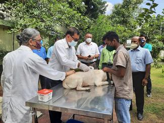 ANTI-RABIES VACCINATION