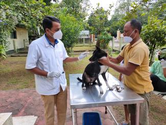 ANTI-RABIES VACCINATION