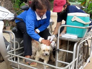 Headrock Dogs Rescue outreach