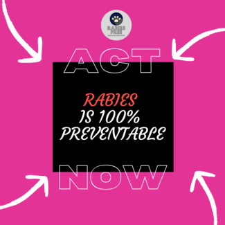 Rabies Is 100% Preventable