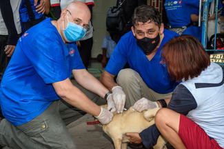Dr. Bjoern Rambags, General Manager (Boehringer Ingelheim Vietnam) vaccinating dogs in the village, assisted by Dr. Torsten Hardge, Head of Animal Health (Boehringer Ingelhiem Vietnam)