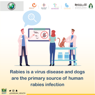 Rabies is a virus disease and dogs are the primary source of human rabies infection