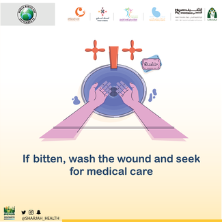 If bitten, wash the wound and seek for medical care