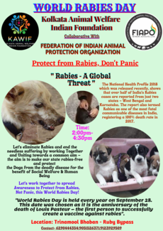 Protect from Rabies, Don't Panic 