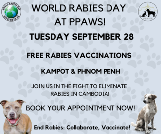 Free Rabies Vaccination Flyer