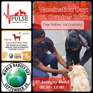 Pulse Veterinary Clinic Rabies Vaccination Day - 02/10/2021