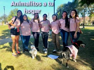 Voluntarios de adopción "Animalitos a tu hogar"