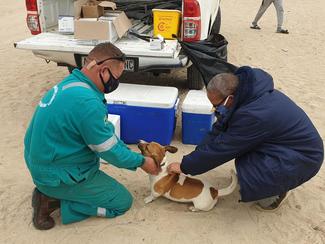 Vaccination Port Nolloth