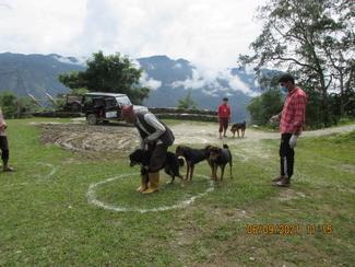 Dogs and their owner adhering to COVID-19 safety protocol (the white circle is the designated place maintaining social distancing)