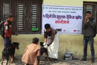 Vaccination campaign in Jajarkot in district in western Nepal