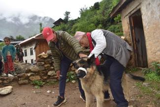 Vaccination campaign in Dolpa district in western Nepal