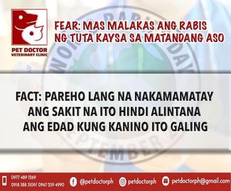 Fear vs. Fact #2 PetDoctorPH World Rabies Day 2021