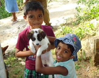 World Rabies Day Event 2021-Sri Lanka by Vets For Future 