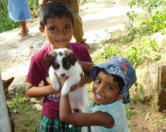 World Rabies Day Event 2021-Sri Lanka by Vets For Future