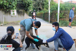 Dr Rakesh Chand vaccinating #3