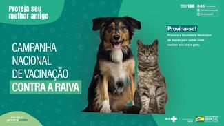 Campanha de vacinação antirrábica animal, Brasil, 2021