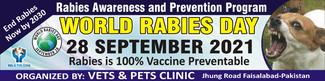 Rabies awareness