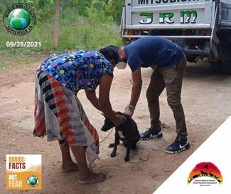 It's the 28th of September, world rabies day. We are ready for our mission. Spread facts not fear...Bring your pets for vaccination. #WorldRabiesDay, #Rabies, #EndRabiesNow, #ZeroBy30 Global Alliance for Rabies Control #vff #vetsforfuture