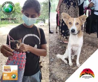 It's the 28th of September, world rabies day. We are ready for our mission. Spread facts not fear...Bring your pets for vaccination. #WorldRabiesDay, #Rabies, #EndRabiesNow, #ZeroBy30 Global Alliance for Rabies Control #vff #vetsforfuture