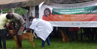 Campagne de vaccination des chiens