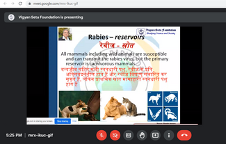 Rabies reservoirs - mammals