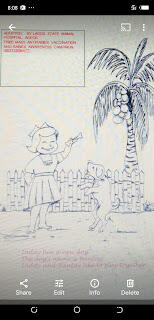 Front page of activity color book given to students for rabies awareness.