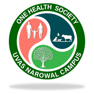 The Logo of the OHS-UVAS Nwl Campus