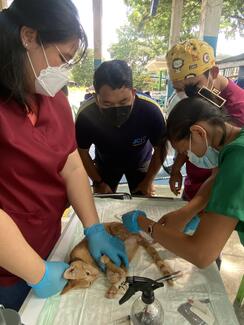 with the volunteer clinicians from College of Veterinary Medicine, Central Mindanao University.