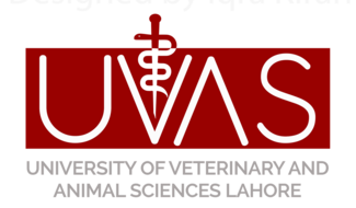 The Logo of the University