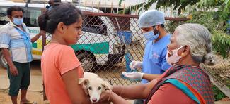 Pet parents come forward to vaccinate their pets against rabies
