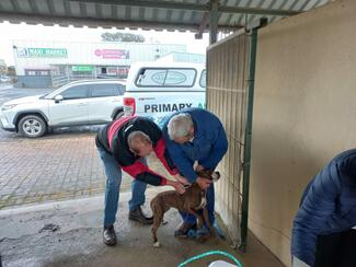 Riviersonderend Rabies Vaccination Campaign